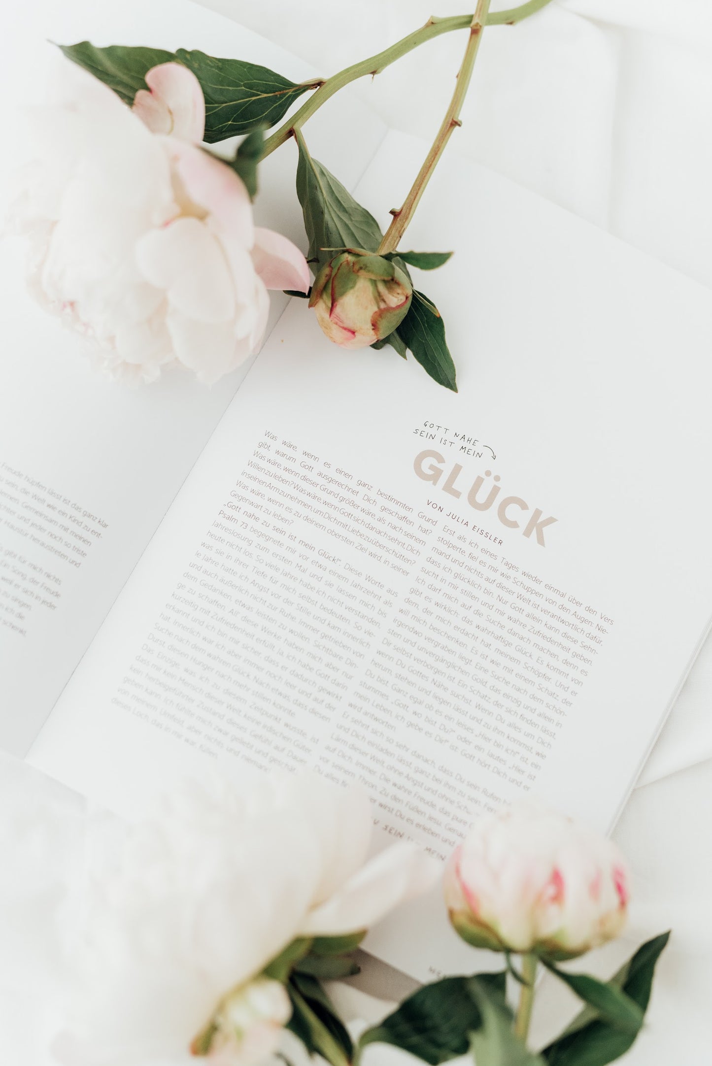 FREUDE - Magazin No. 3 von stennie+friends