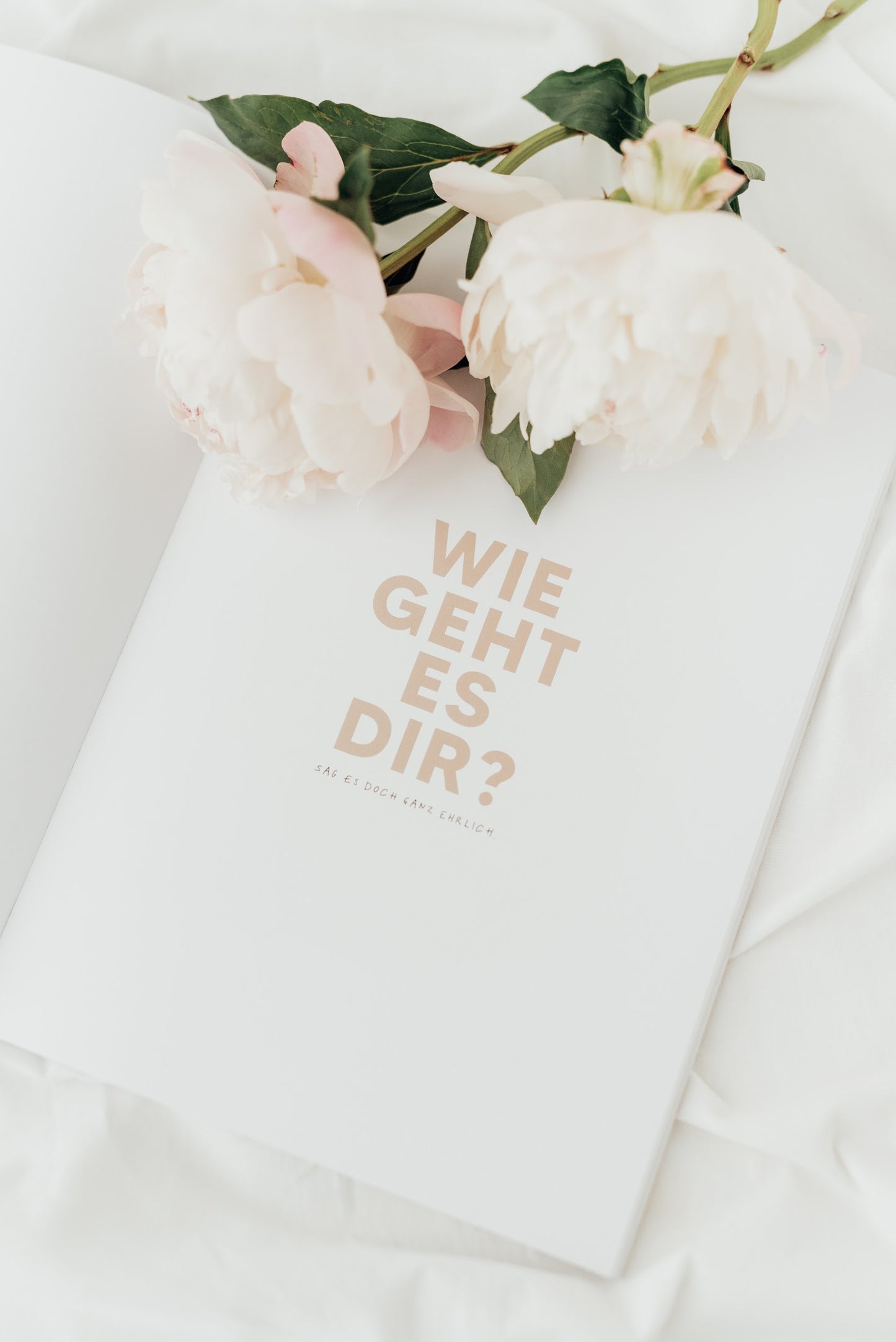 FREUDE - Magazin No. 3 von stennie+friends