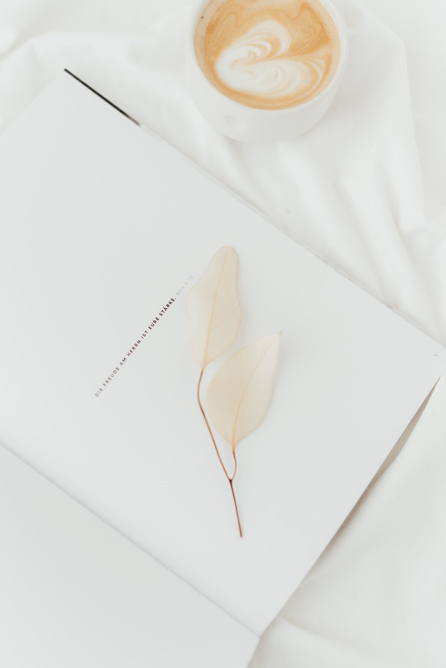 FREUDE - Magazin No. 3 von stennie+friends