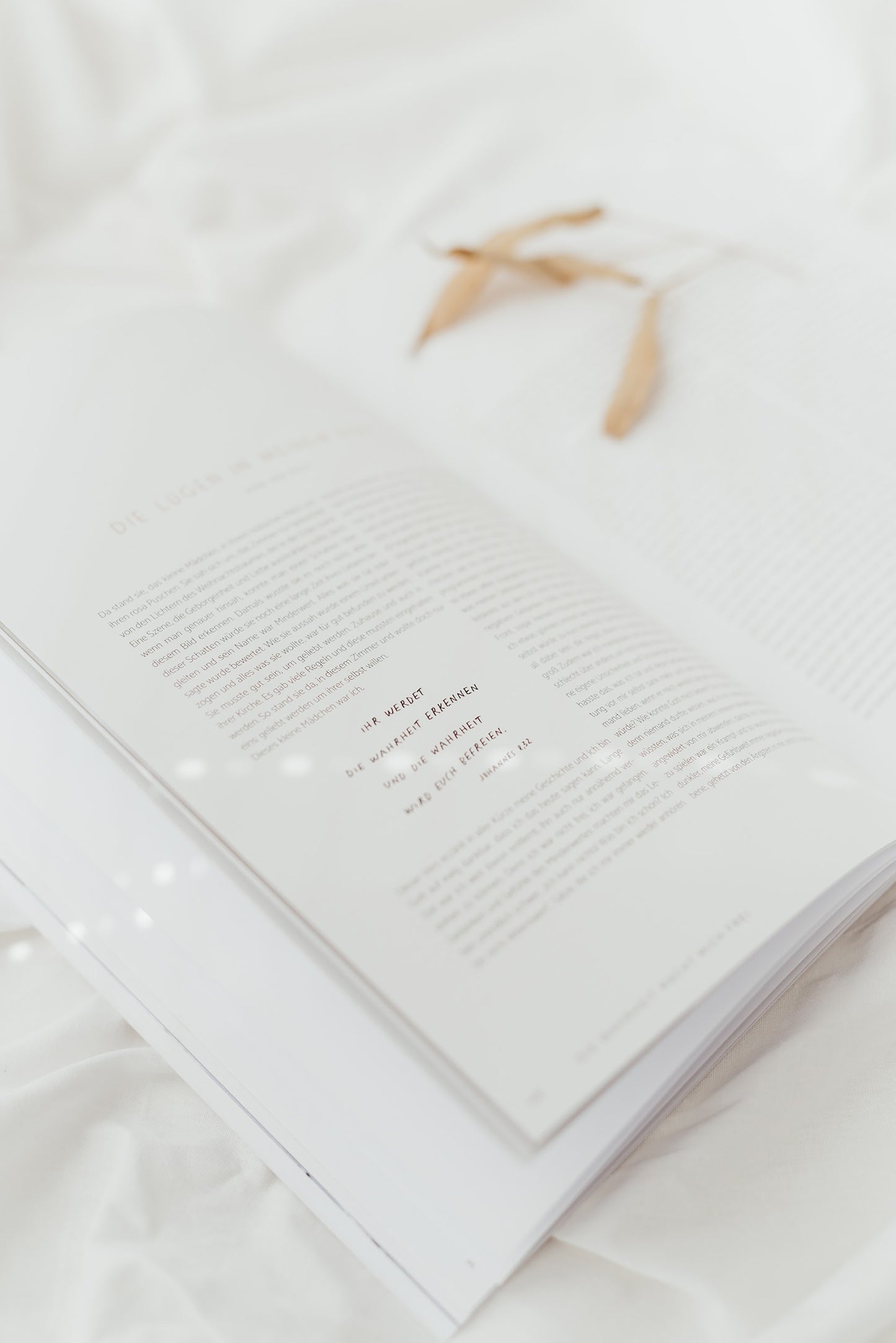 FREI SEIN - Magazin No.2 von stennie+friends