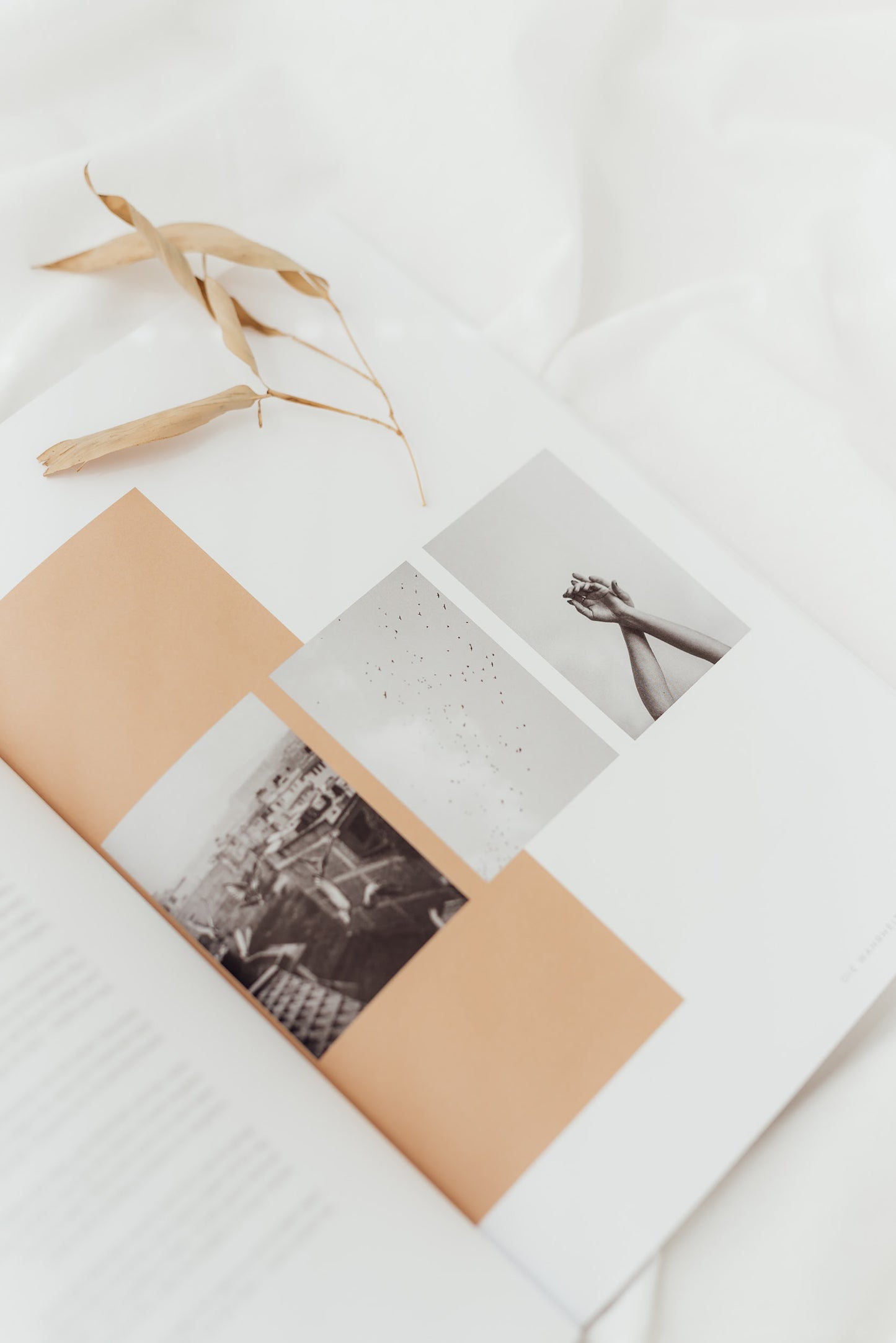 FREI SEIN - Magazin No.2 von stennie+friends